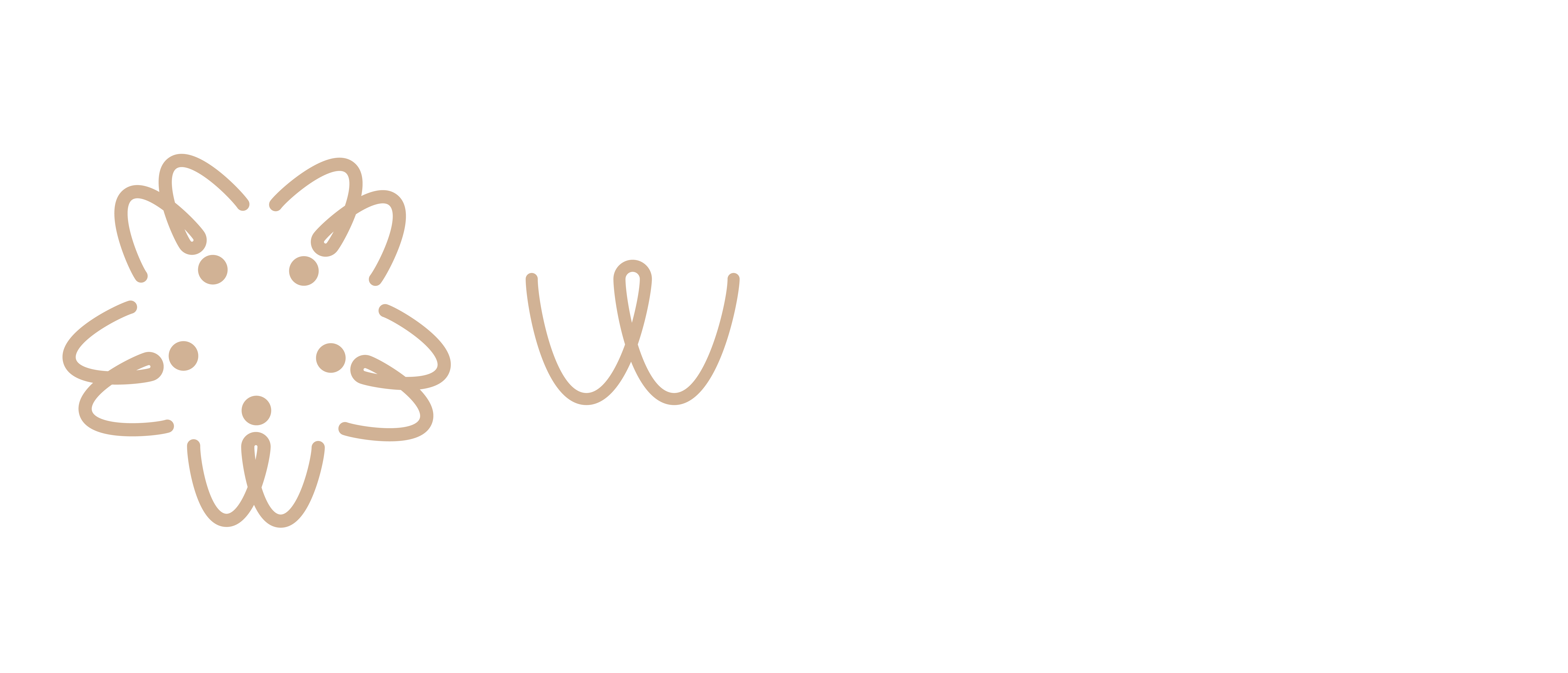 Pilsen Wellness Center